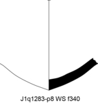 W22d0376 J1q1283-p08 T928 kF cv f340.jpg